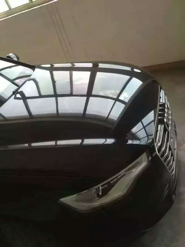 冰雹坑修復后 冰雹坑修復后